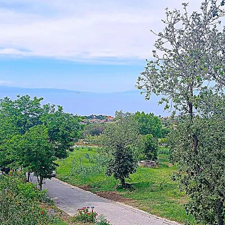 Gorgeous In With Wifi