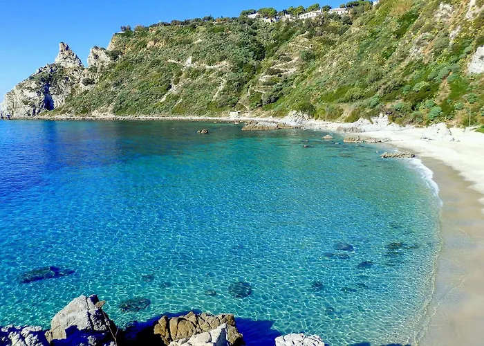 Apartament Gorgeous In With Wifi